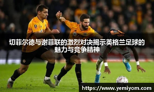 切菲尔德与谢菲联的激烈对决揭示英格兰足球的魅力与竞争精神